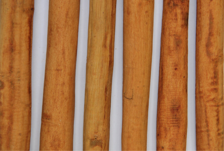 Post Harvest Technology – Department of Cinnamon Development